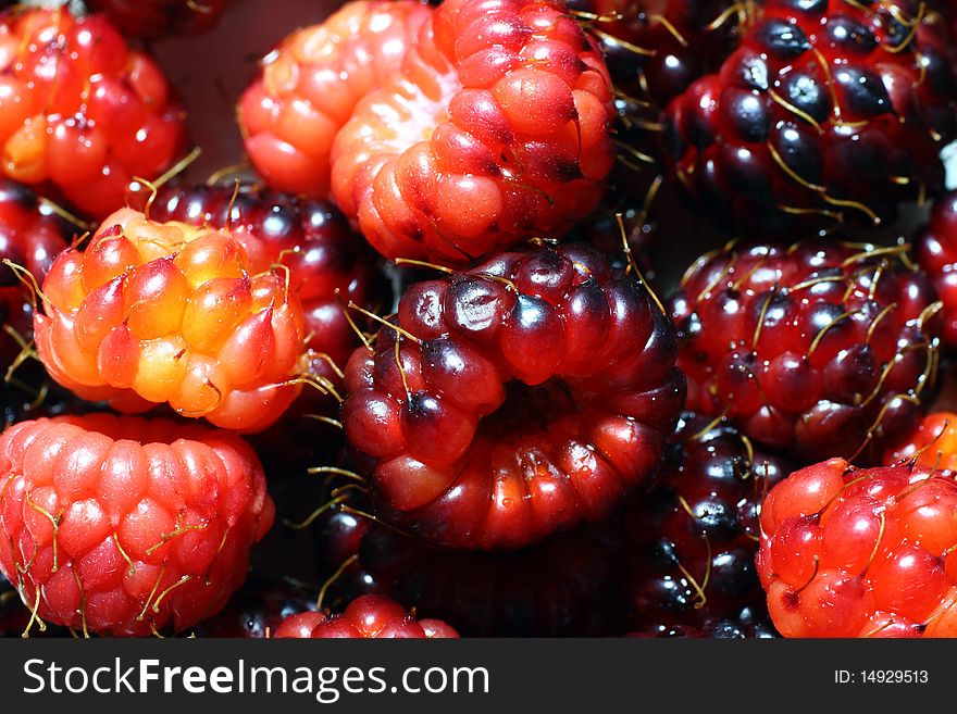 Close up of raspberries