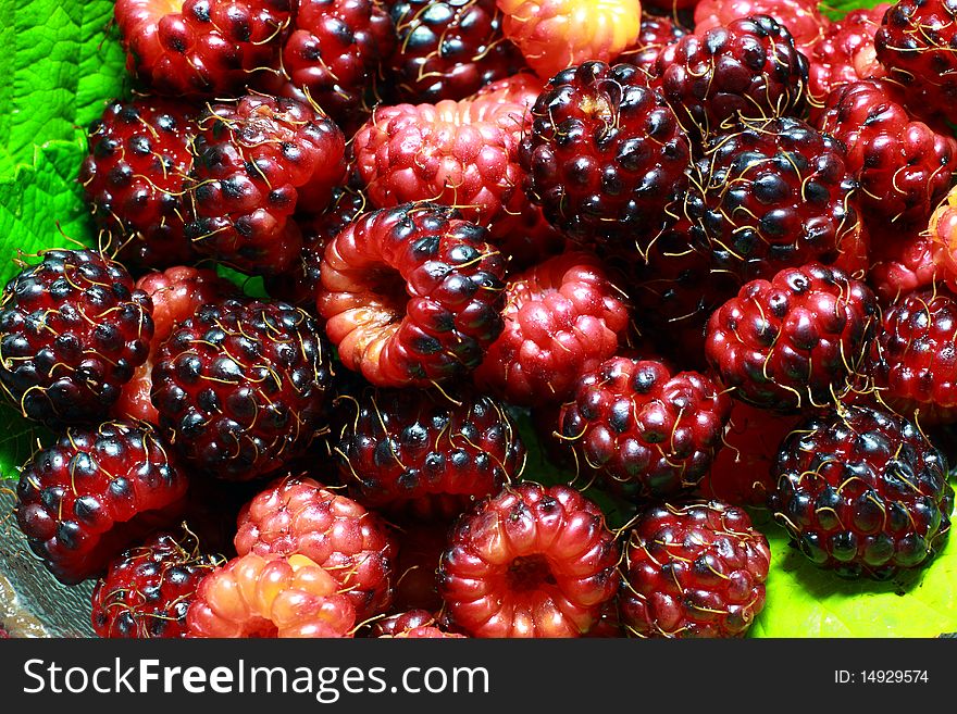 Close up of red and purple raspberries.