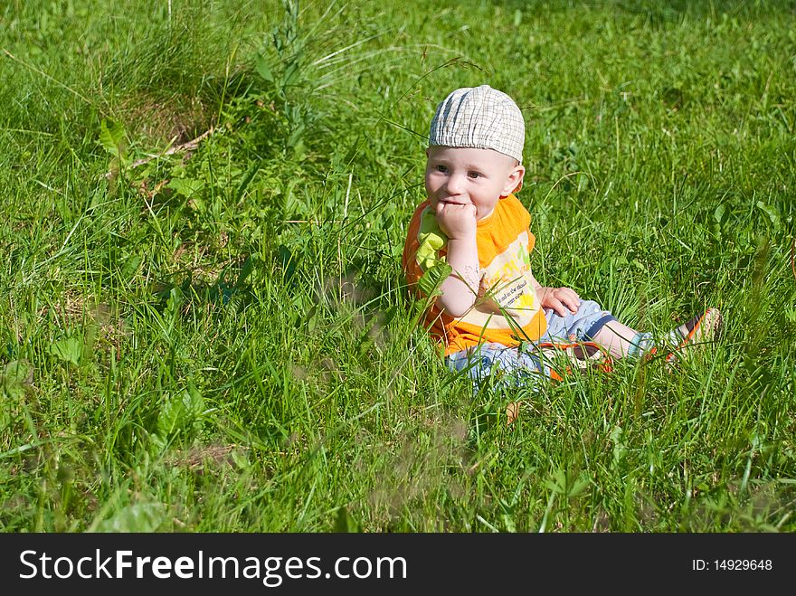 Beautiful Little Boy Looks In Green  Meadow