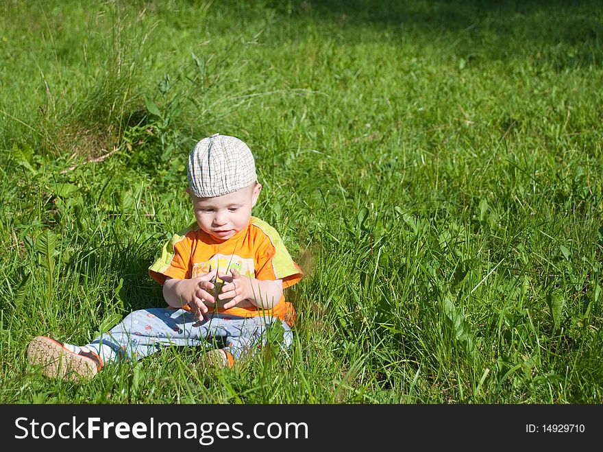 Beautiful little boy looks in green summer meadow