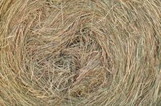 Hay Roll Royalty Free Stock Photo Hay Roll Royalty Free Stock Photo