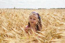 Girl In The Field Royalty Free Stock Images Girl In The Field Royalty Free Stock Images