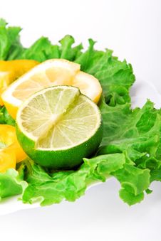 Various Lemons Stock Photography Various Lemons Stock Photography
