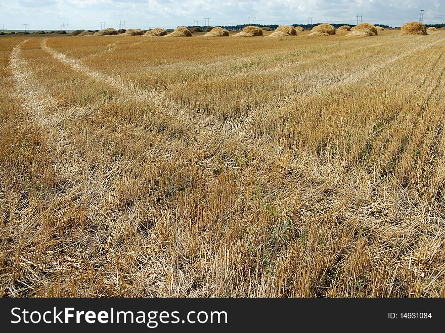 Traces in the field after harvesting