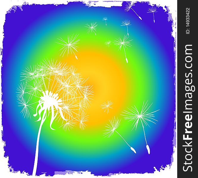 Card with dandelion and grunge rainbow background. Card with dandelion and grunge rainbow background