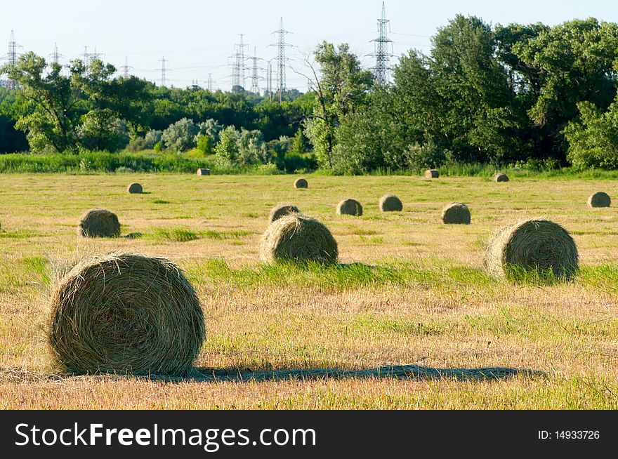 Rural landscape with hay rolls