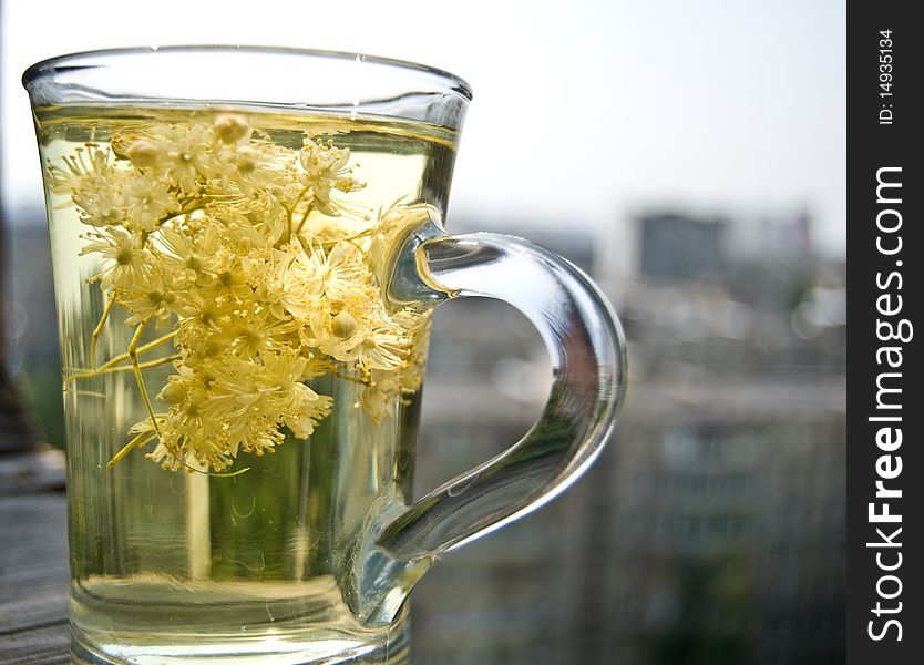 Fresh tea of lime blossom with an urban landscape in background. Fresh tea of lime blossom with an urban landscape in background