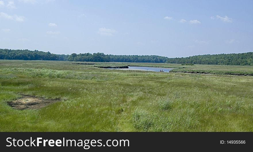 Marsh landscape in Maine, usa