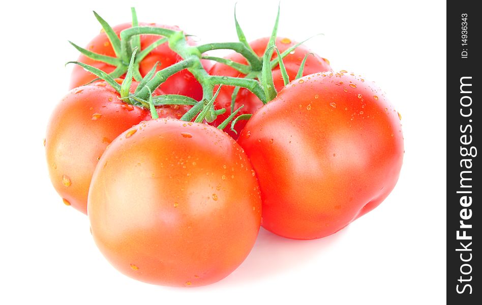 Fresh ripe red tomatoes isolated
