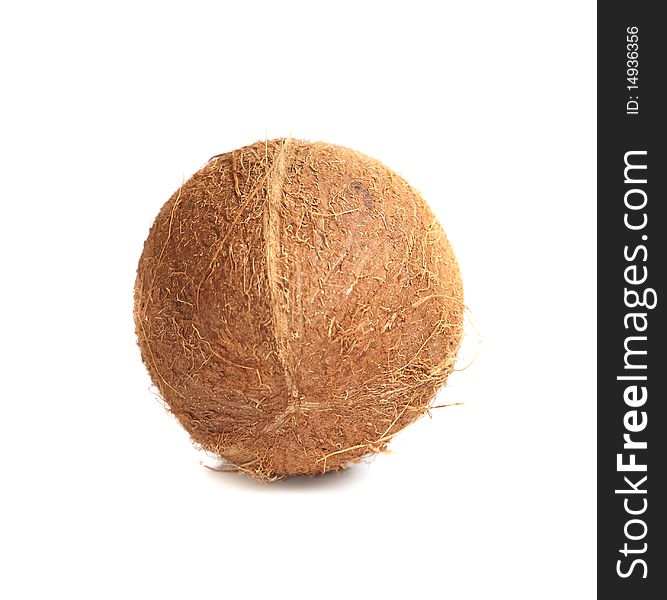 Coconut on white isolated background. Coconut on white isolated background