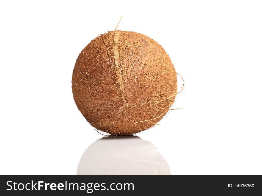 Coconut on white isolated background. Coconut on white isolated background