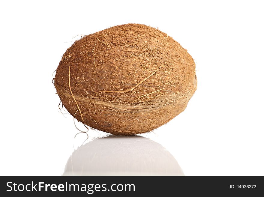 Coconut on white isolated background. Coconut on white isolated background
