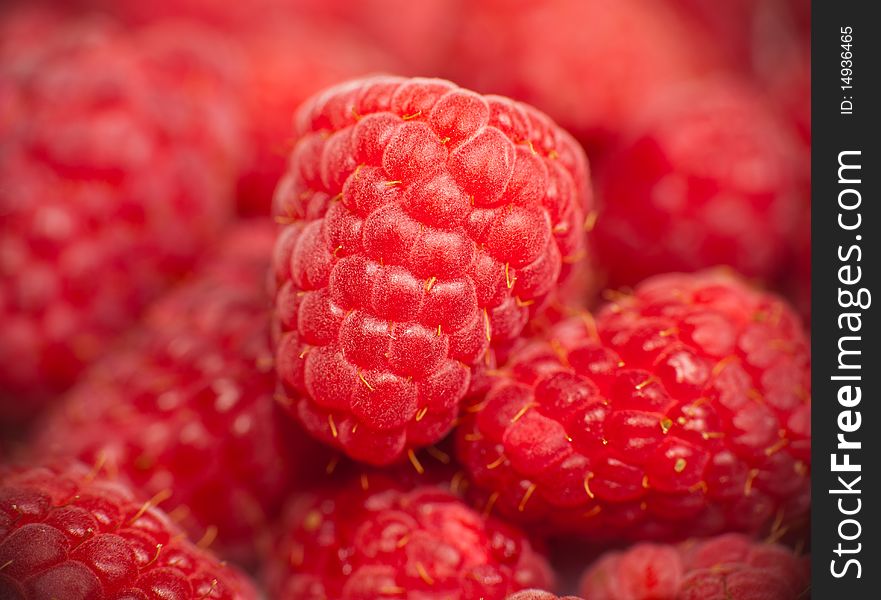 Ripe fresh rapberries on white isolated background