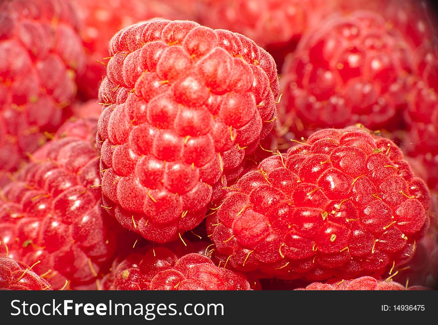 Ripe Fresh Rapberries