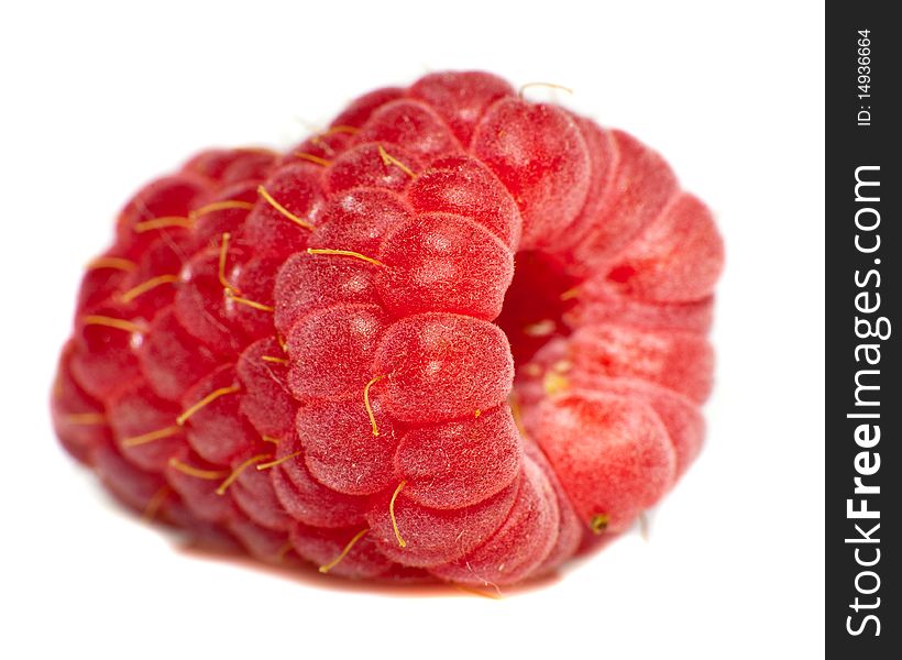 Ripe Fresh Rapberries