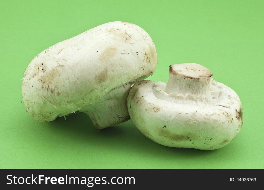 Mushrooms on a green background