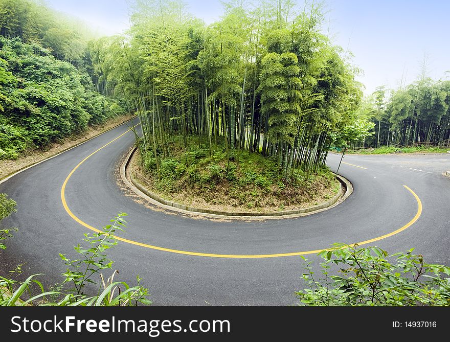 Bamboo and curved road in china