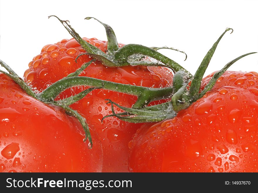Closeup of fresh tomatoes with water drops isolated on white background with clipping path