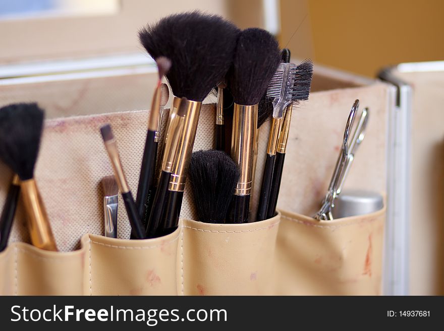 A collection of brushes for make up