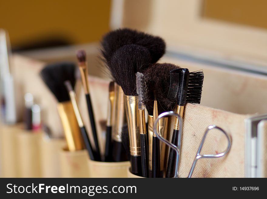 A collection of brushes for make up