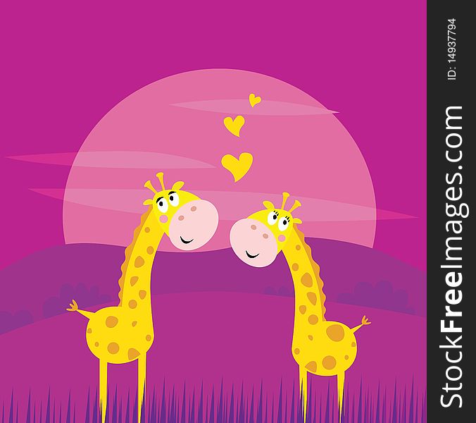 Two yellow african giraffes in love