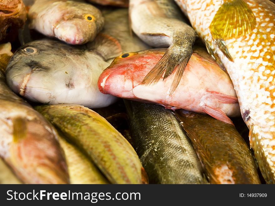 A color landscape photo of a pile of colorful fish at a market stall. A color landscape photo of a pile of colorful fish at a market stall.