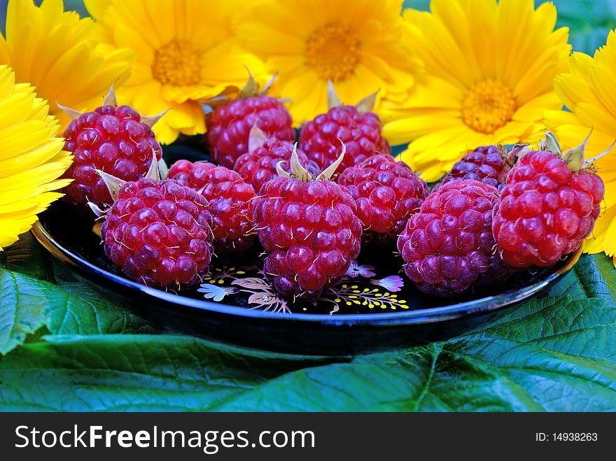 Ripe appetizing raspberry