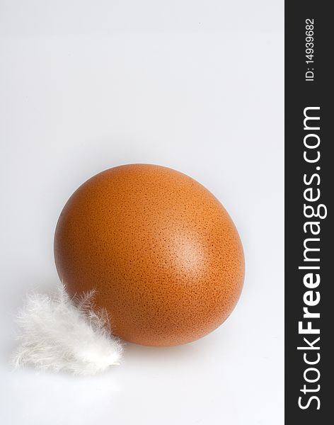 A brown egg and a white feather