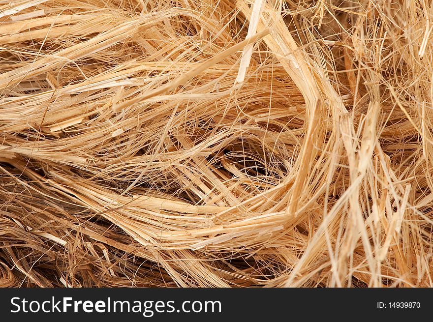 Dry straw texture closeup. Abstract background