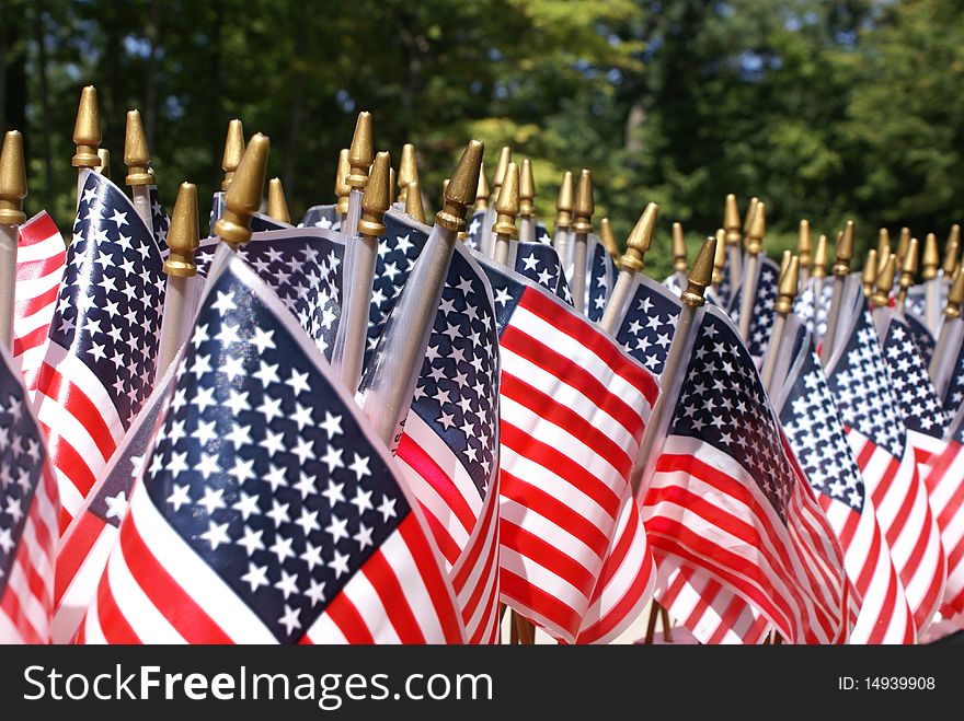 Dozens of small American flags in a close group.