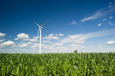 Wind Turbines In Corn Field Royalty Free Stock Image