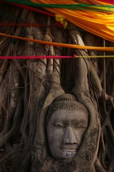 Buddha S Head In Banyan Tree Roots Stock Photography Buddha S Head In Banyan Tree Roots Stock Photography