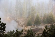 Misty Forest Yellowstone National Park Stock Image Misty Forest Yellowstone National Park Stock Image