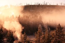 Misty Forest With Sunrise Yellowstone Royalty Free Stock Photos Misty Forest With Sunrise Yellowstone Royalty Free Stock Photos
