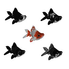 3d Cartoon Goldfish Set 2 Royalty Free Stock Images 3d Cartoon Goldfish Set 2 Royalty Free Stock Images