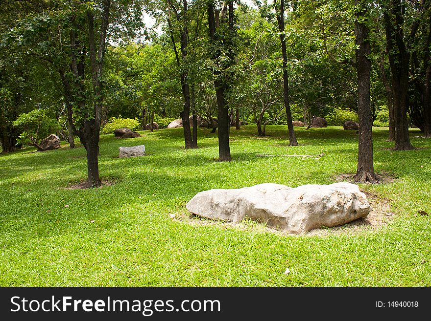 Stone in the park