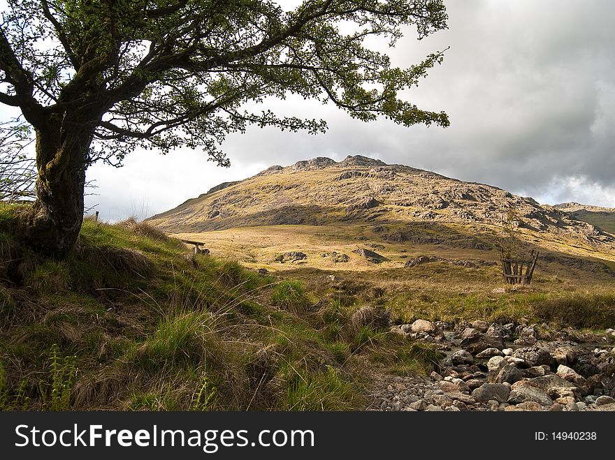 A landscape in the Lake District, England.