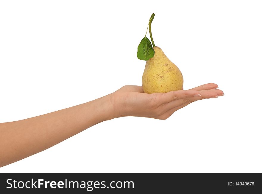 Yellow pear with a green leaf in hand