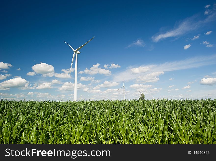 Wind turbines stand tall above a green field of corn. Wind turbines stand tall above a green field of corn.