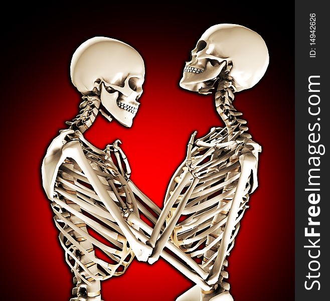 A pair of skeletons in a loving and tender pose. A pair of skeletons in a loving and tender pose.