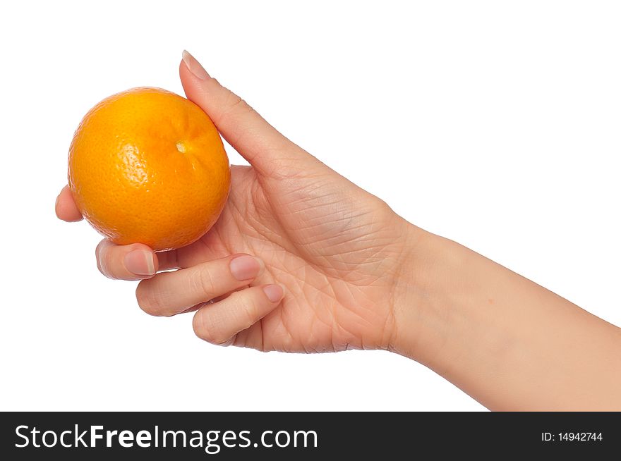 Fresh mature Spanish tangerine in the hand