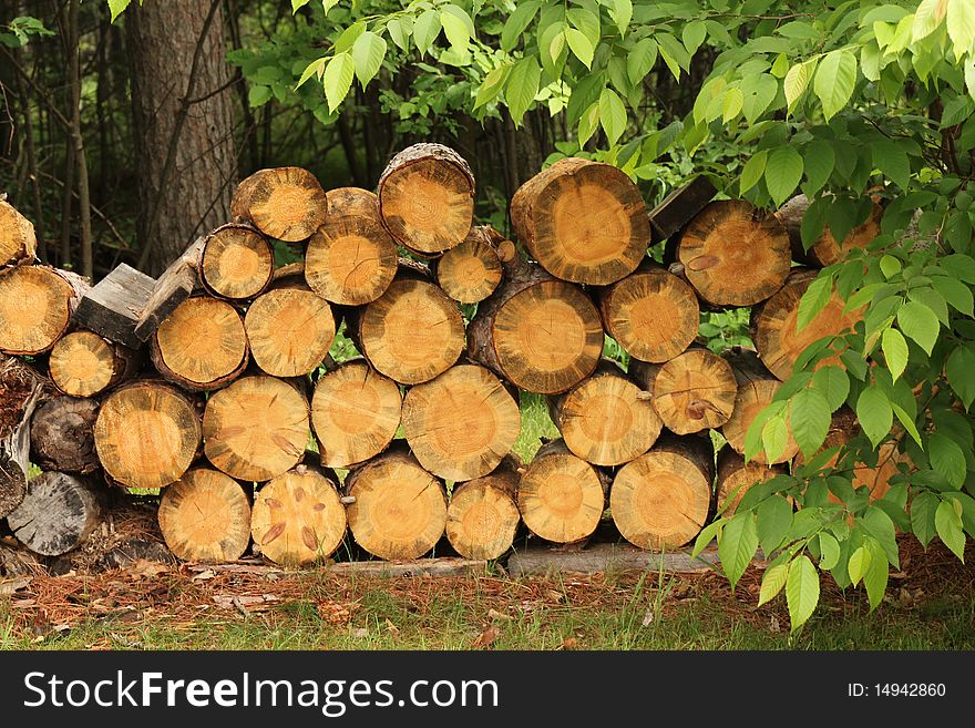 Small stack of fresh cut logs for firewood. Small stack of fresh cut logs for firewood.
