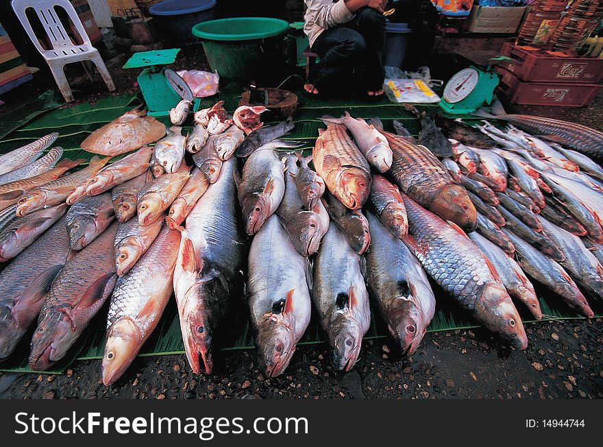 Local fish market at Thailand