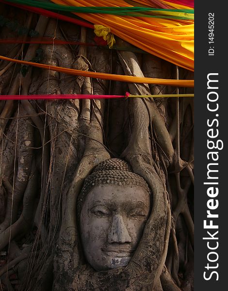 Buddha's head in banyan tree roots, Ayuthaya, Thailand