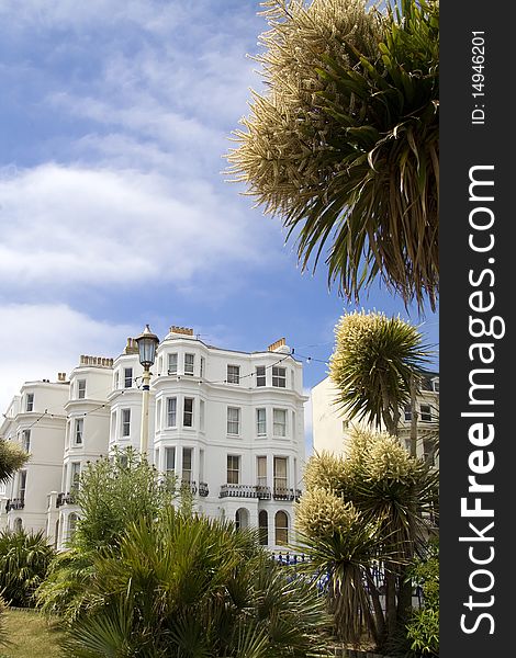 Exotic plants surround seafront hotel on sunny day in Eastbourne. Exotic plants surround seafront hotel on sunny day in Eastbourne