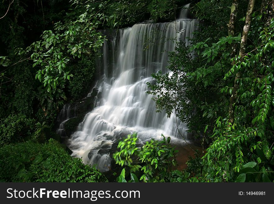 Waterfall in the rain forest