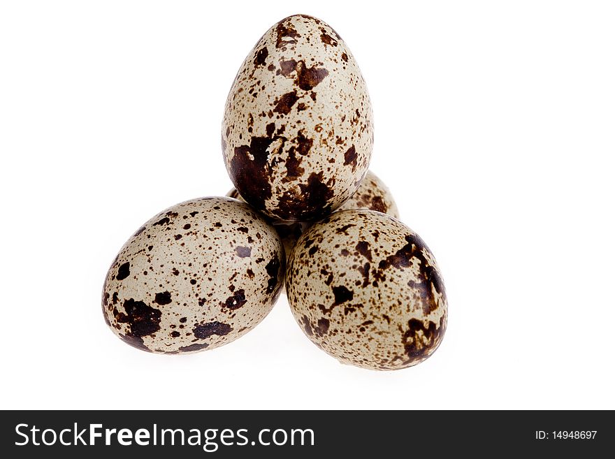 Fresh and useful quail egg