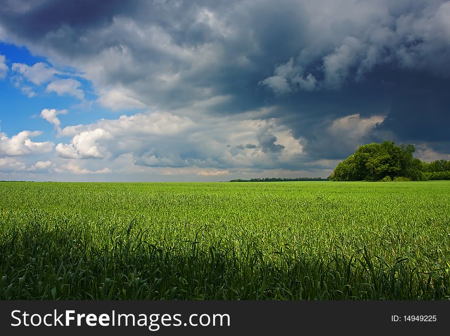 Landscape with field and cloudy sky. Landscape with field and cloudy sky