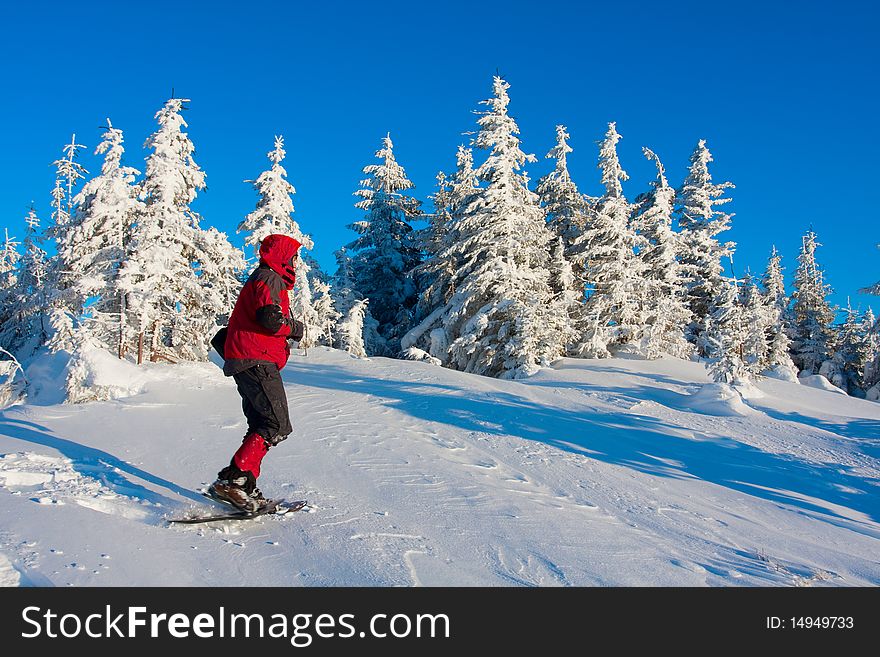 Hiker in winter in mountains