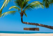 Landscape Of Coconut Palm Tree, Sandy Beach With Sea And Blue Sky Background. Royalty Free Stock Photo
